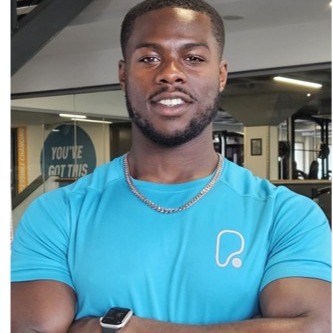 Avatar of Toye Ibikunle
